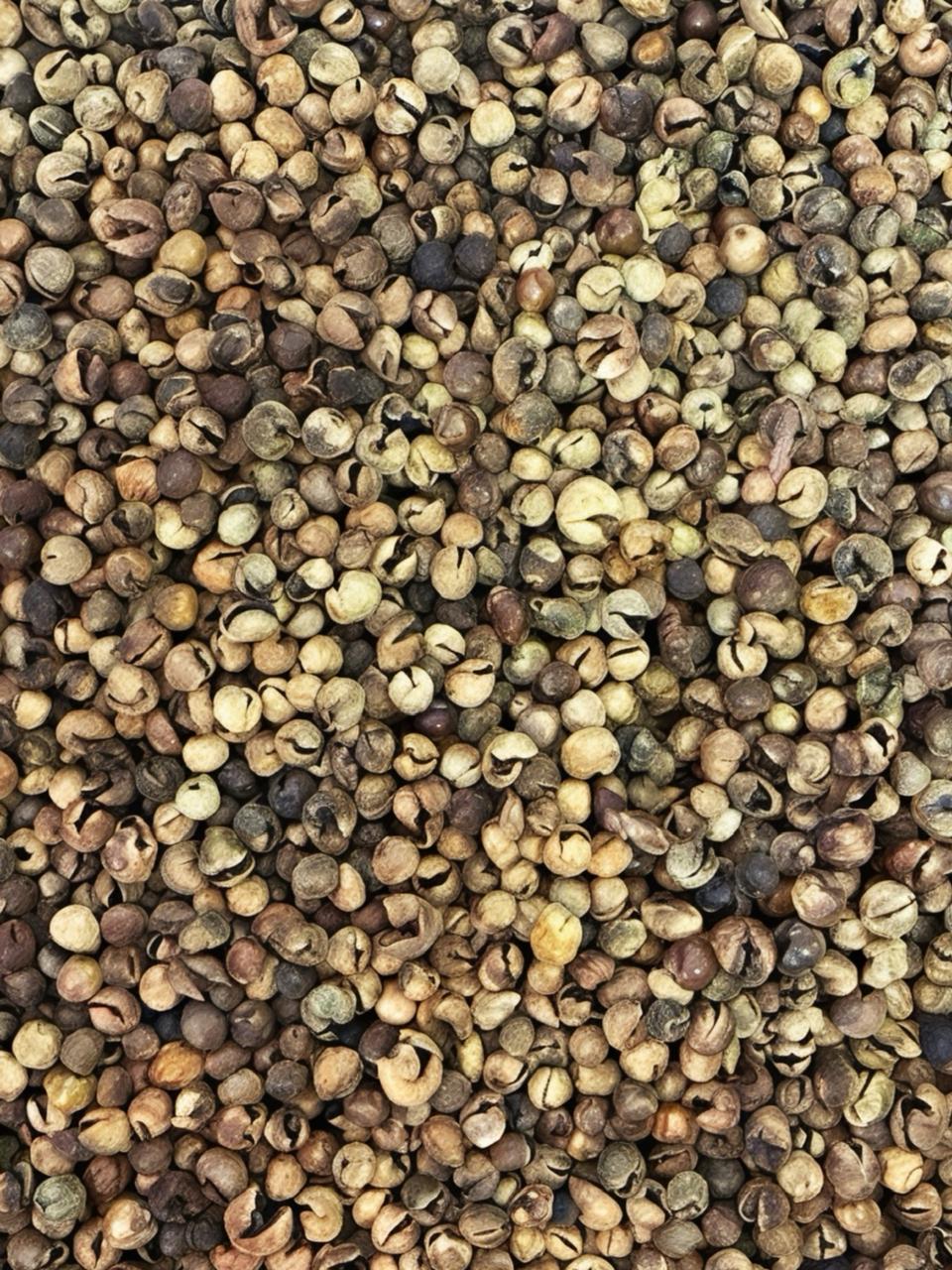 SUN-DRIED TURKEY BERRY(SUNDAVATHAL) PACK OF 250G