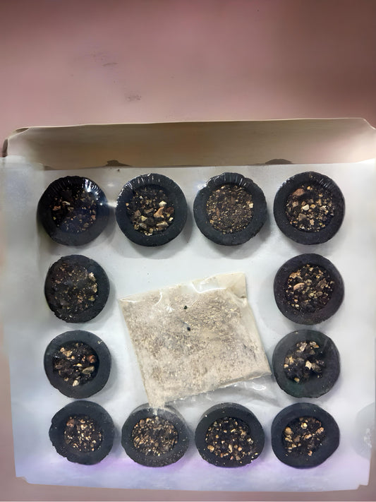 JEYAVILAS CUP SAMBRANI 12NO PACK WITH SAMBRANI POWDER FREE