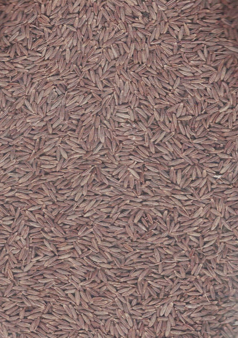 SHRI GANGA JEERA (seeragam) 500g