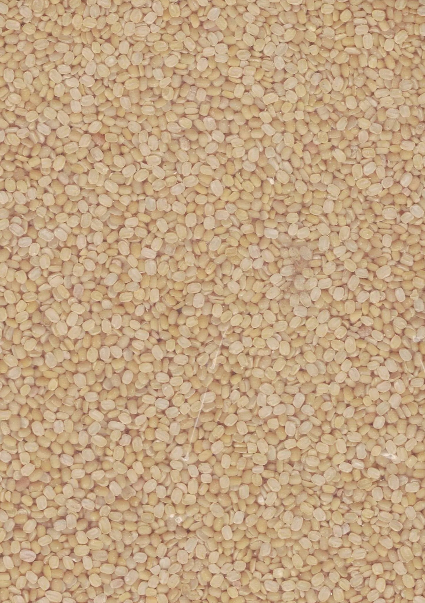 SHRI GANGA MOONG DAL (PASI PARUPPU) 1kg