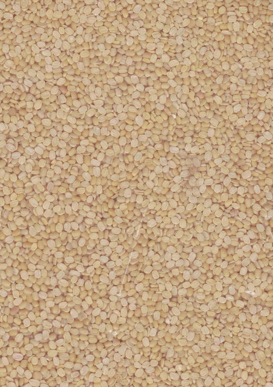 SHRI GANGA MOONG DAL (PASI PARUPPU) 1kg