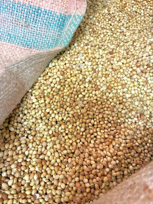 CORIANDER SEEDS WHOLE PACK OF 500G