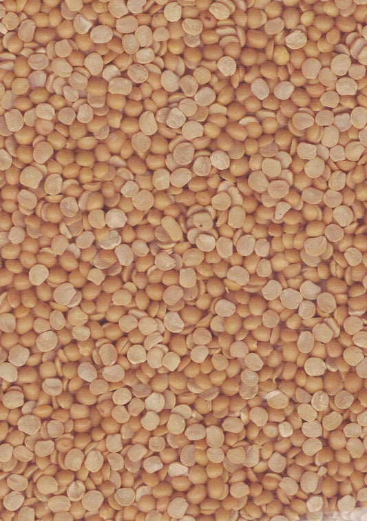 SHRI GANGA TOOR DAL (thuvaram paruppu) 1kg bag
